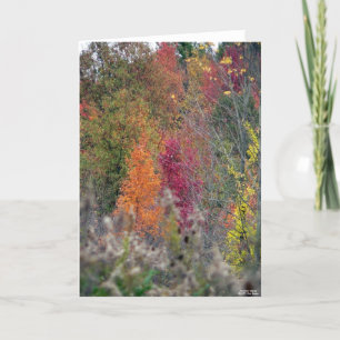 Het Palet van de herfst Kaart
