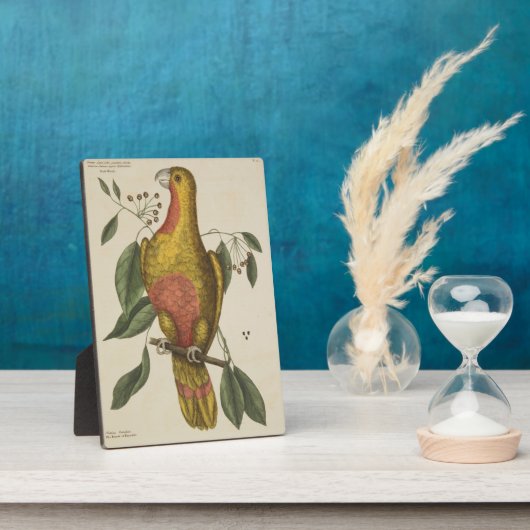 "Het paradepaardje" Fotoplaat (Zijkant)