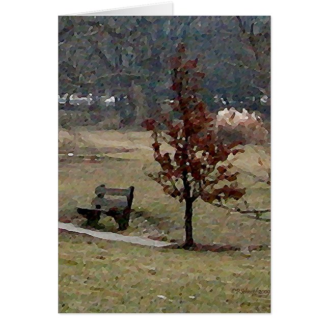 Het park (Voorkant)