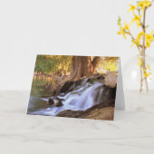 Het Park van Fairmount - Rivieroever Kaart (Gele Bloem)