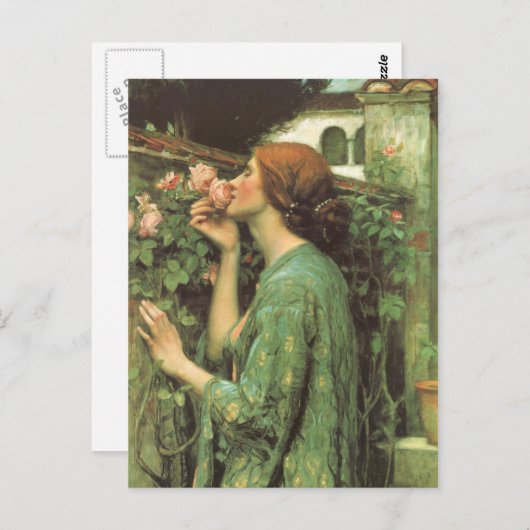 Het percentage Rozen Briefkaart (Voorkant / Achterkant)