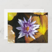 Het Perfect Flower Briefkaart (Voorkant / Achterkant)