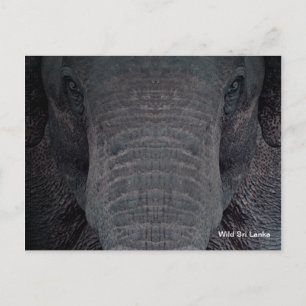 Het Personaliseerbare Briefkaart van de Olifant