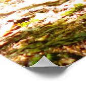 Het perspectief van een hond poster (Hoek)