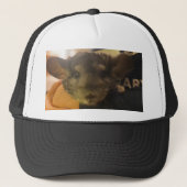 het pet van de kin (Voorkant)