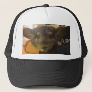 het pet van de kin
