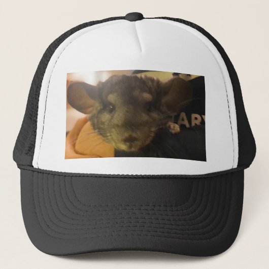 het pet van de kin (Voorkant)