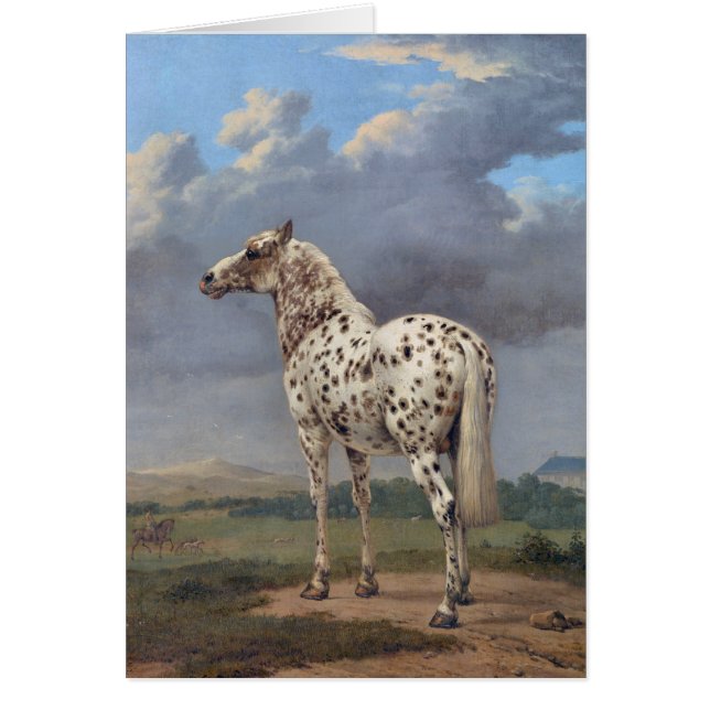 Het Piebald-paard (Voorkant)