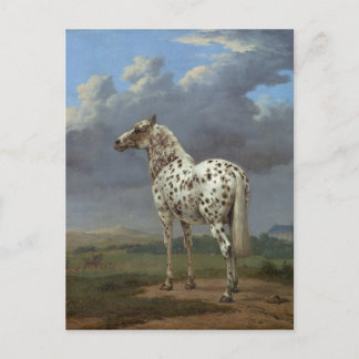 Het Piebald-paard Briefkaart