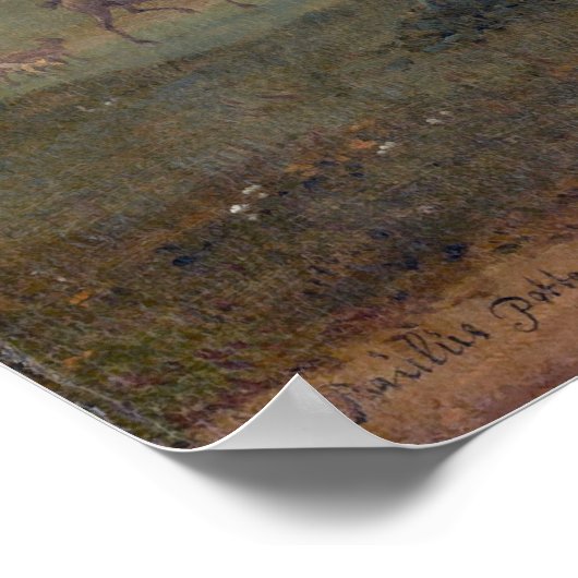 Het Piebald-paard Poster (Hoek)