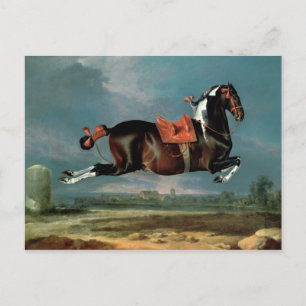 Het pietbald-paard 'Ceheld' fokken Briefkaart