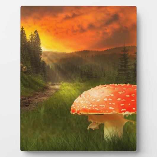 Het plaatsen van de Zon van de Autumn. Fotoplaat (Voorkant)