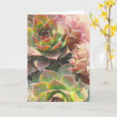 Het Plant van de kip en van het Kuiken Kaart (Gele Bloem)