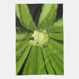 Het Plant van de Palm van het baby door Shirley Theedoek