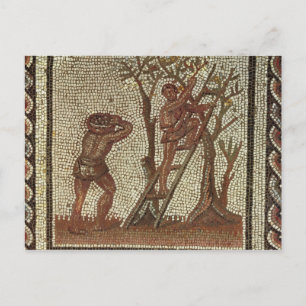 Het plukken Fruit, Roman Mozaïek Briefkaart