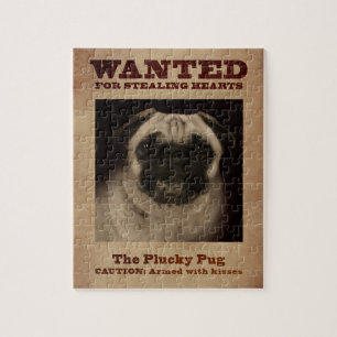 Het plukstokje legpuzzel