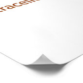 Het pompen van drie natriumionen uit de cel (Na-K  Poster (Hoek)