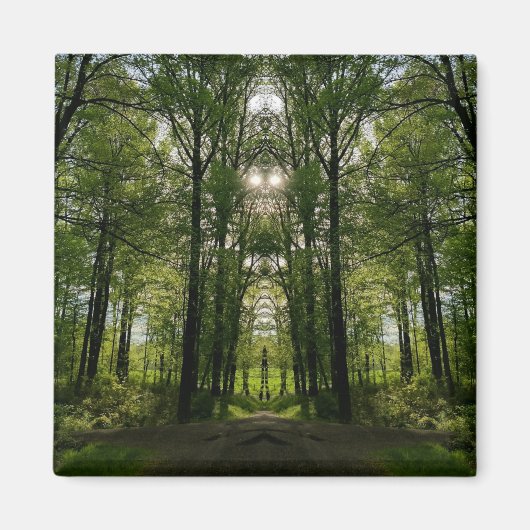 Het Portaal van de boom Magnet - het Ontwerp van d Magneet (Voorkant)