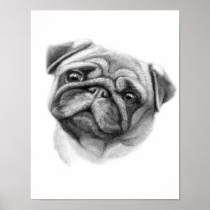 Het portret Pug   Cute Pug Dog Face Poster