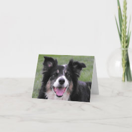 Het Portret van border collie Bedankkaart