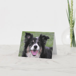 Het Portret van border collie Bedankkaart