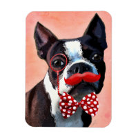 Het Portret van Boston Terrier met het Stropdas Re