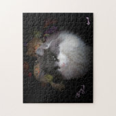 Het portret van de heer Pink Legpuzzel (Verticaal)