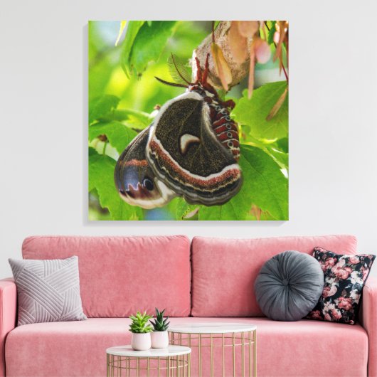 Het portret van de zijde Moth Wings Canvas Afdruk (Insitu (Woonkamer))