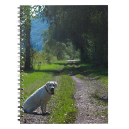 Het portret van een gouden recuperator die neer zi notitieboek