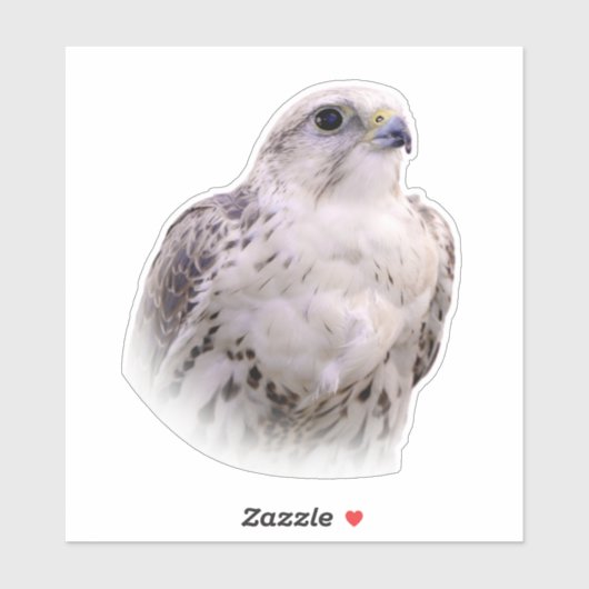 Het portret van een Inquisitive Saker Falcon Sticker (Vel)