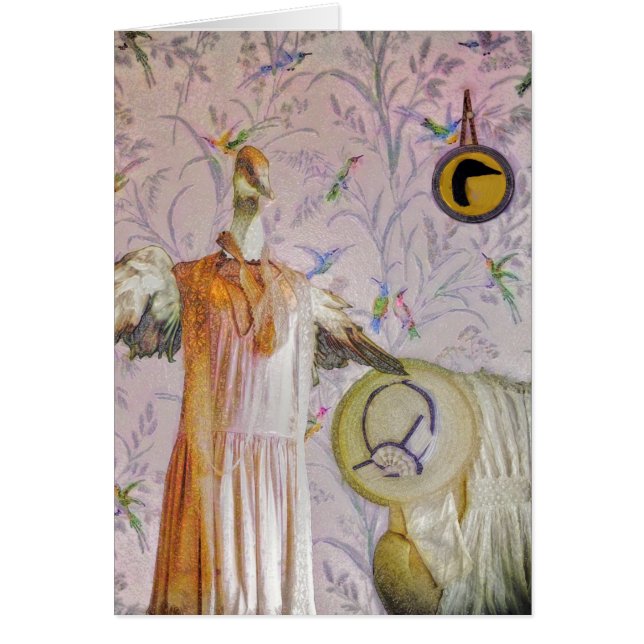 Het portret van mevrouw Smew (Voorkant)