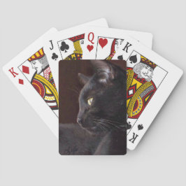 Het portret van mijn jongen, Charlie Plays Kaarten