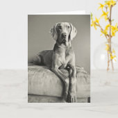 Het Portret van Weimaraner Kaart (Gele Bloem)