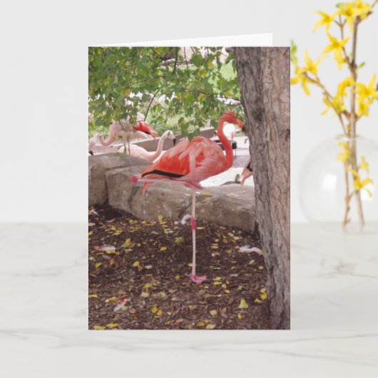 "Het posten van Flamingo"Dank u Kaart (Gele Bloem)