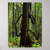 Het poster bossen (Voorkant)