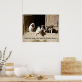 Het poster Nowzad Puppies (Keuken)