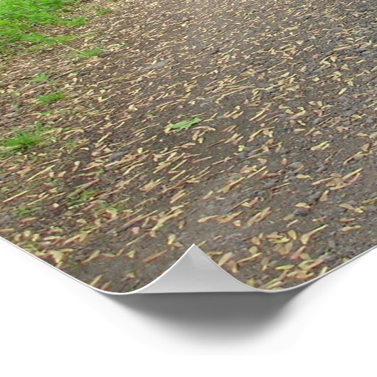 Het Poster Pad lopen (Hoek)