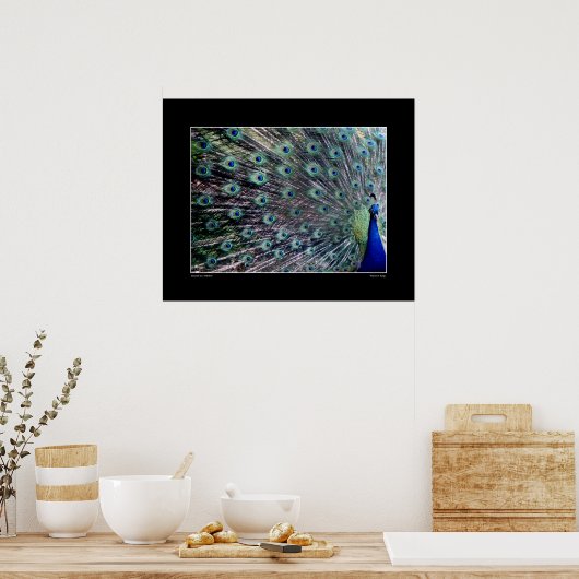 Het Poster Peacock (Keuken)