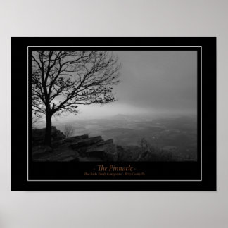 Het Poster Pinnacle