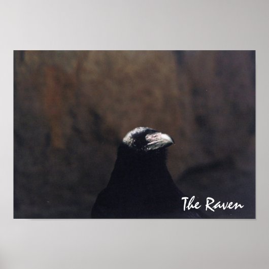 Het Poster Raven (Voorkant)