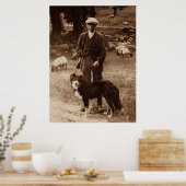 Het Poster "Shepherd"~Border Collie (Keuken)
