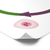 Het poster van de celcyclus (Hoek)