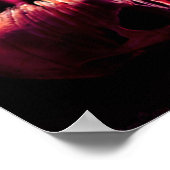 Het Poster van de Dochter van de Tellers van de Fo (Hoek)