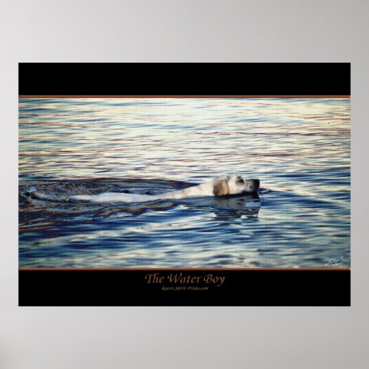 HET Poster VAN DE DOCHTERONDERNEMING VAN HET WATER (Voorkant)