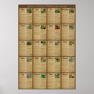 Het Poster van de Geneesmiddelen van de keuken