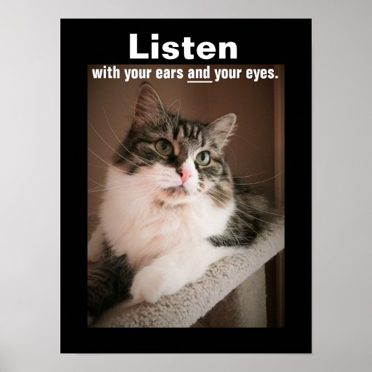 Het Poster van de Luistering (Voorkant)