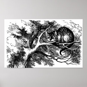 Het Poster van de Steen van de Kat van Cheshire