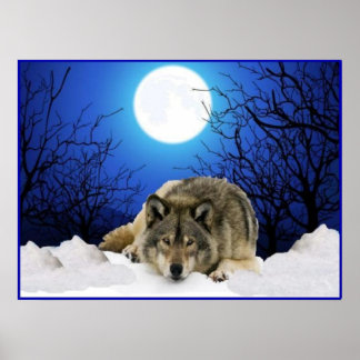Het Poster van de Watcher Wolf