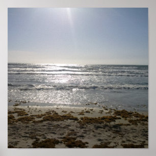 Het Poster van de Zonsopgang van het strand