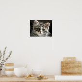 Het Poster van Kitten 2 Rocky (Keuken)